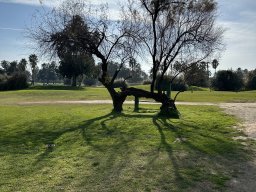 240-13-01-2026 IMG_3436